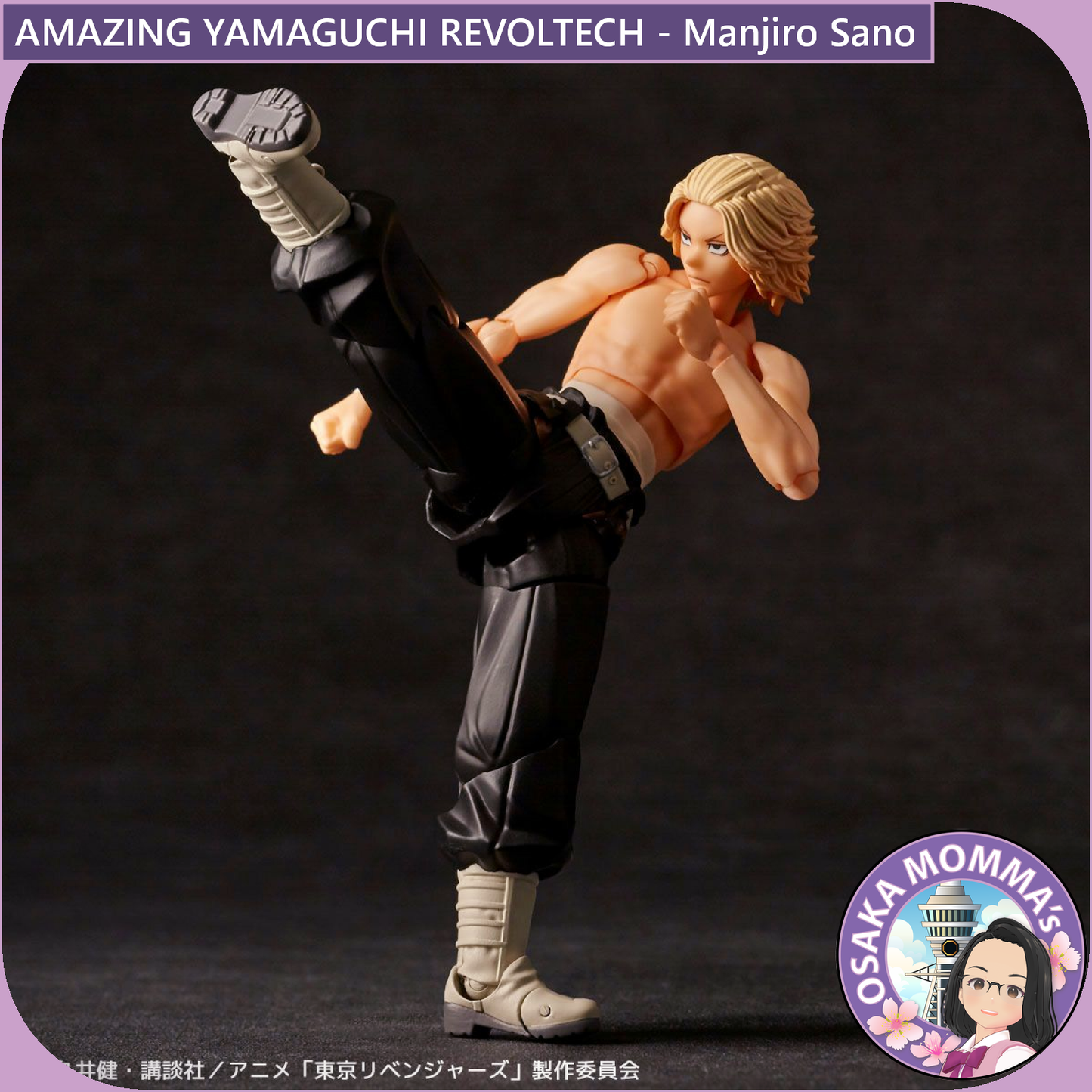 Amazing Yamaguchi Revoltech - Manjiro Sano