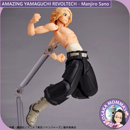 Amazing Yamaguchi Revoltech - Manjiro Sano