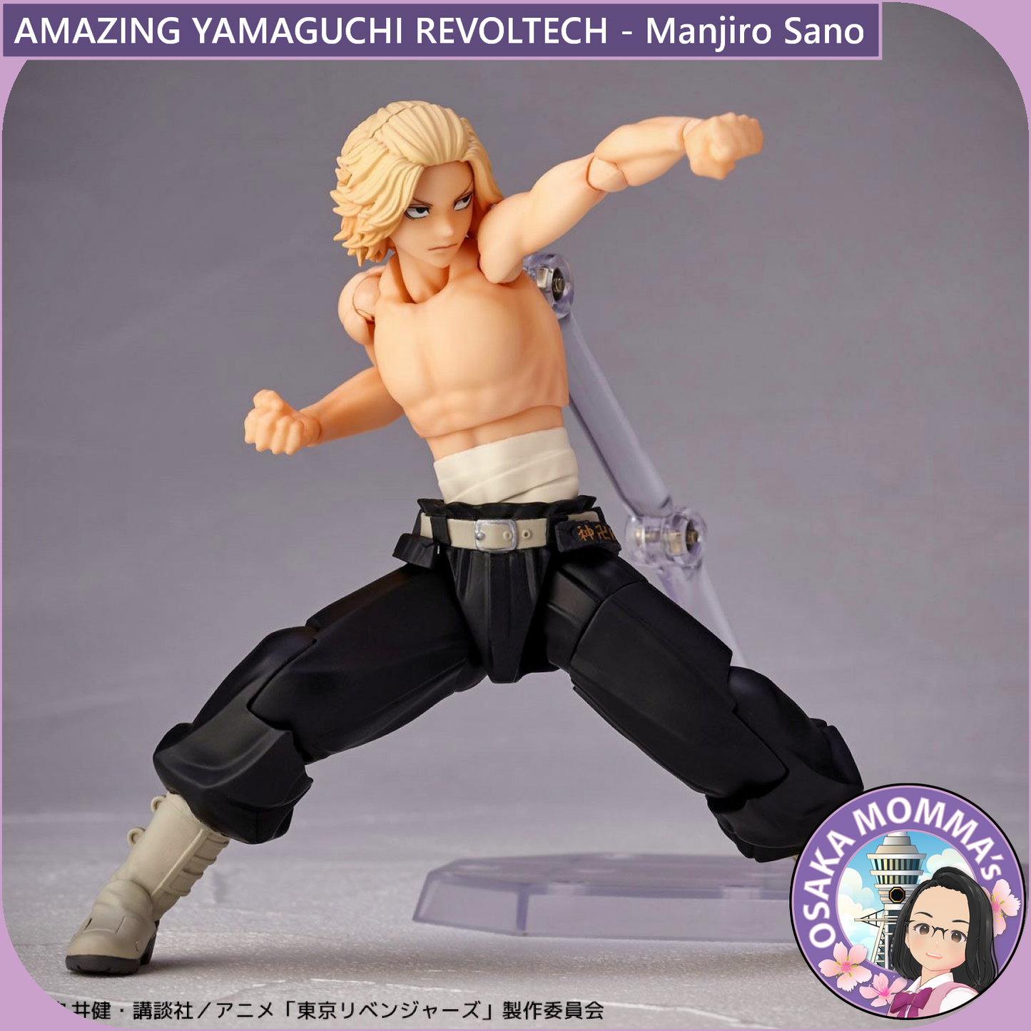 Amazing Yamaguchi Revoltech - Manjiro Sano