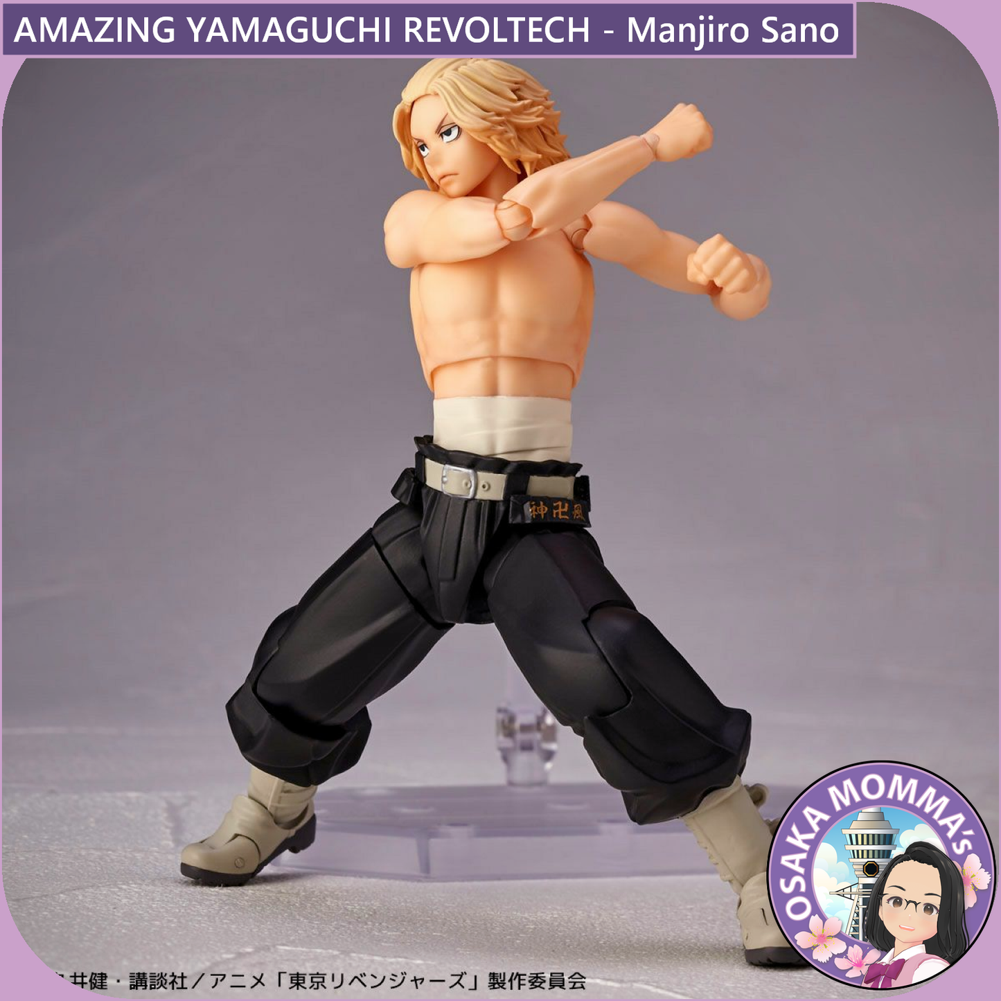 Amazing Yamaguchi Revoltech - Manjiro Sano