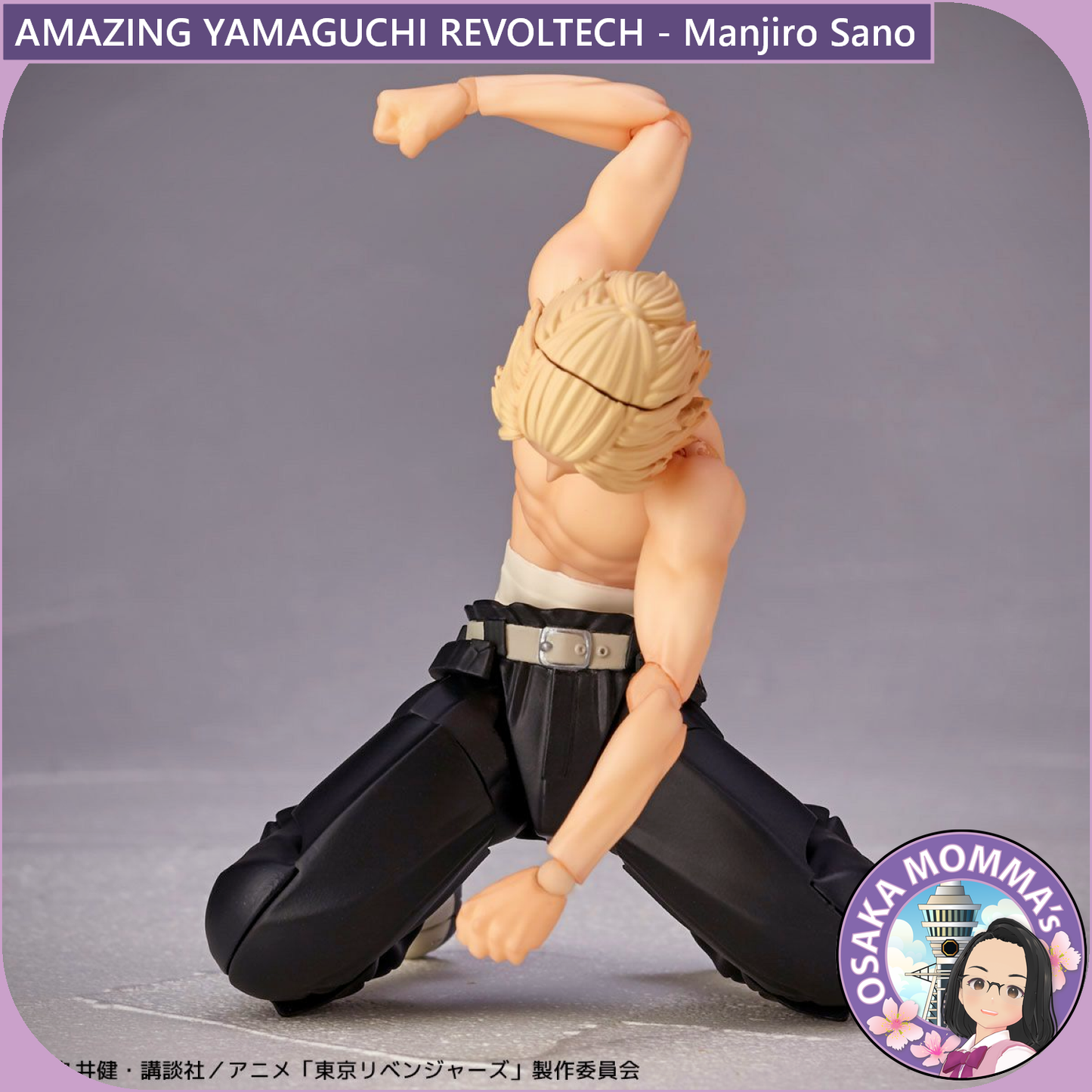 Amazing Yamaguchi Revoltech - Manjiro Sano