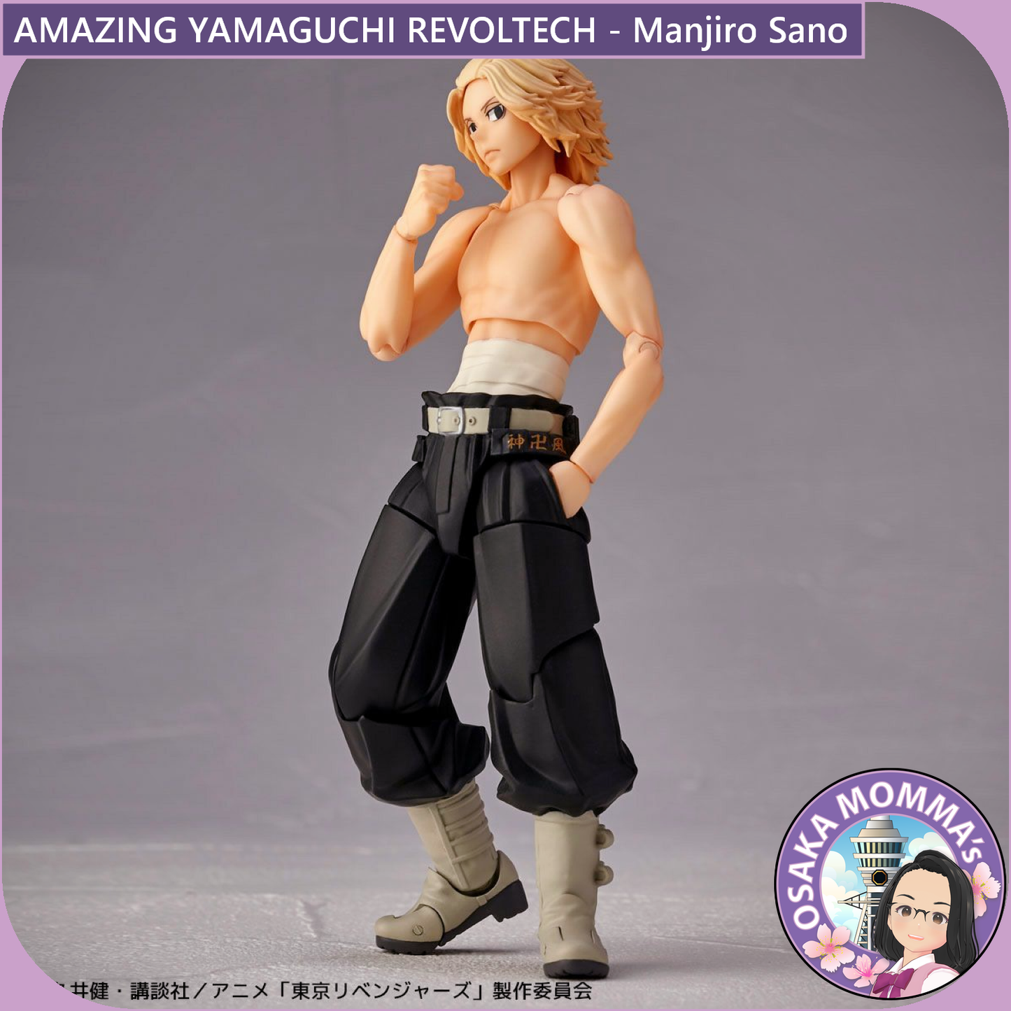 Amazing Yamaguchi Revoltech - Manjiro Sano