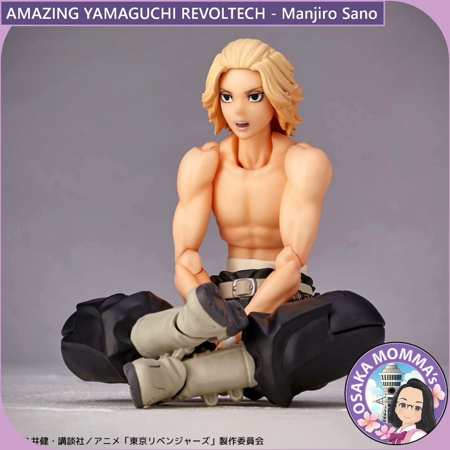 Amazing Yamaguchi Revoltech - Manjiro Sano