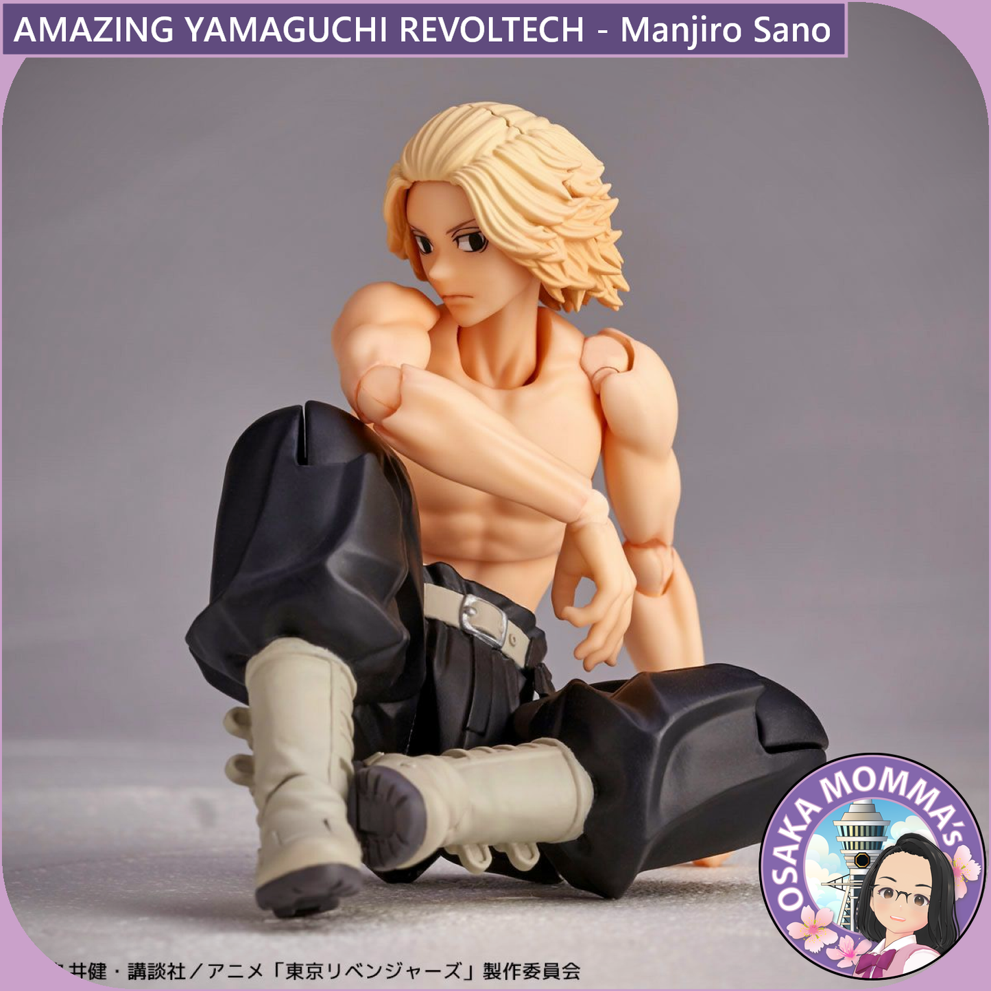 Amazing Yamaguchi Revoltech - Manjiro Sano