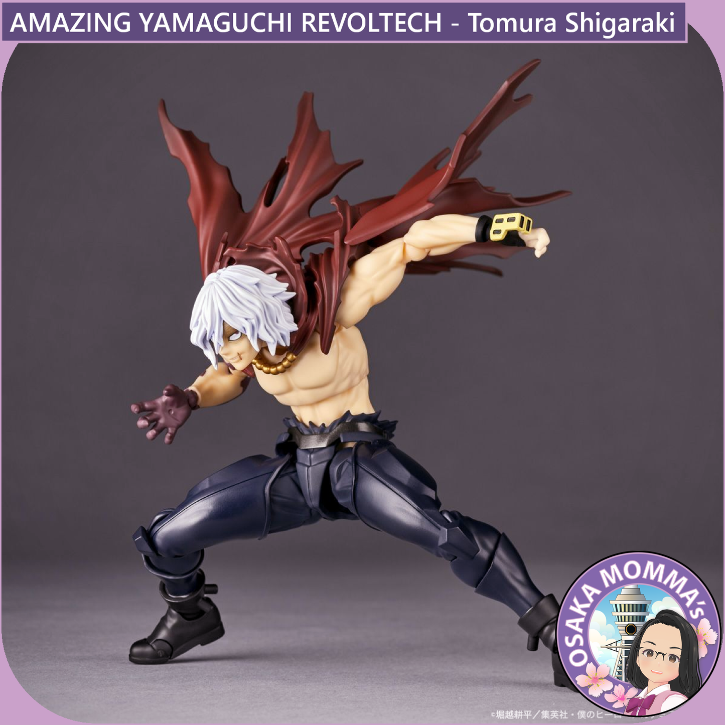 Amazing Yamaguchi Revoltech - Tomura Shigaraki