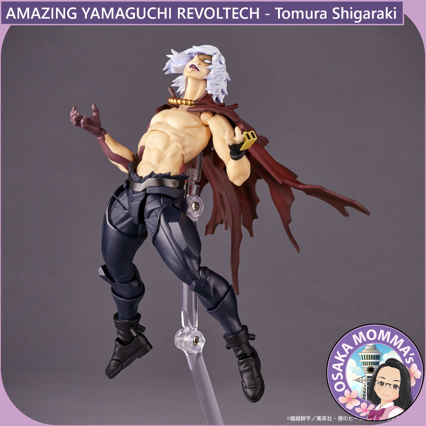 Amazing Yamaguchi Revoltech - Tomura Shigaraki