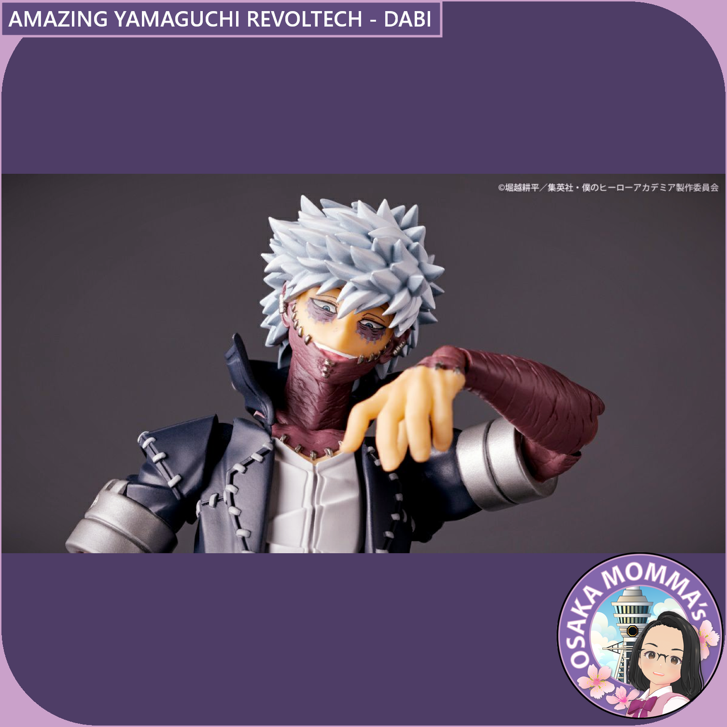 Amazing Yamaguchi Revoltech - Dabi