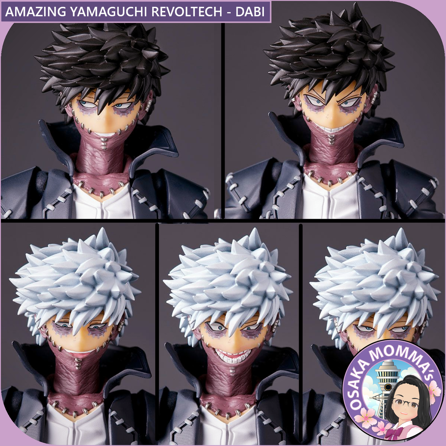 Amazing Yamaguchi Revoltech - Dabi