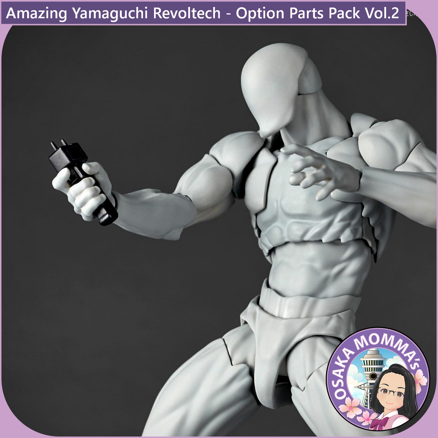 Amazing Yamaguchi Revoltech - Option Parts Pack Vol.2