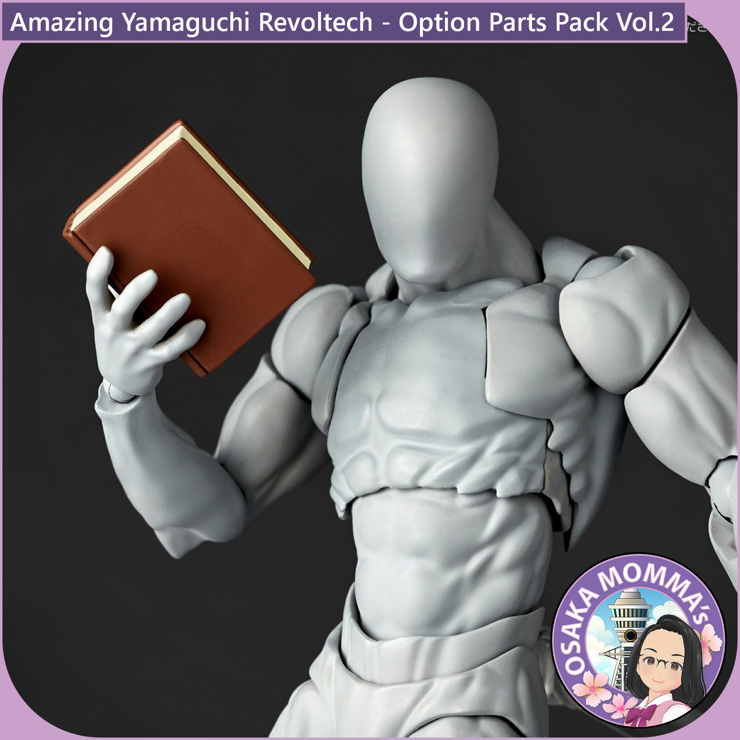 Amazing Yamaguchi Revoltech - Option Parts Pack Vol.2