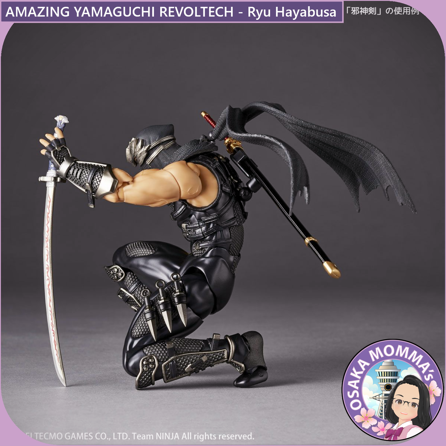 Amazing Yamaguchi Revoltech - Ryu Hayabusa【Jan.2025】