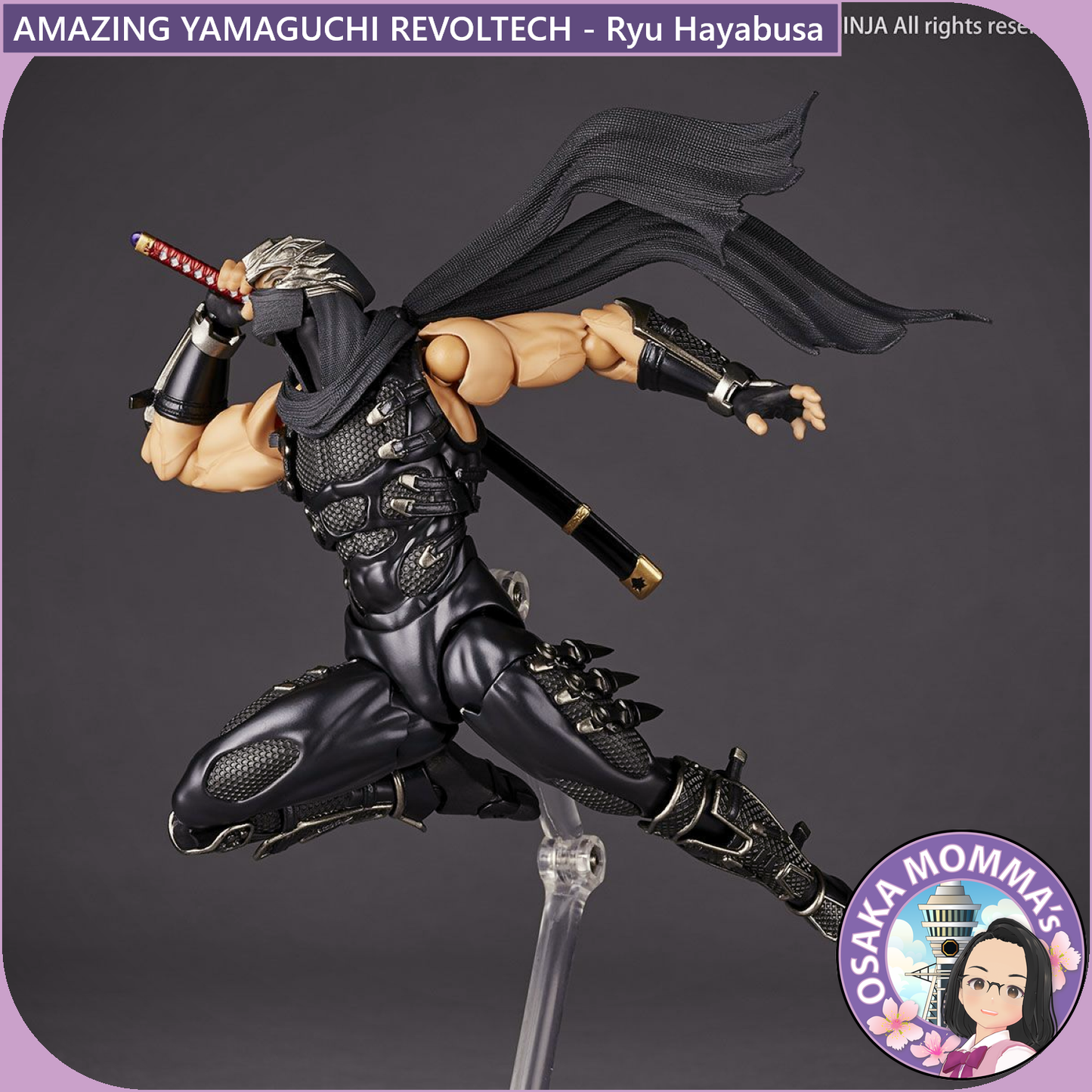 Amazing Yamaguchi Revoltech - Ryu Hayabusa【Jan.2025】