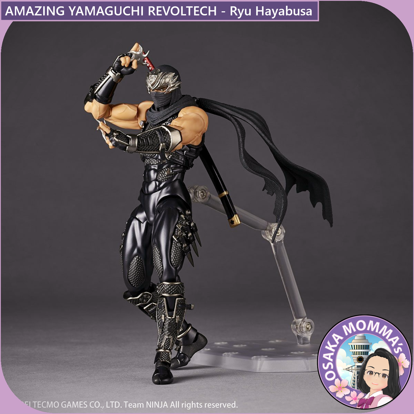 Amazing Yamaguchi Revoltech - Ryu Hayabusa【Jan.2025】