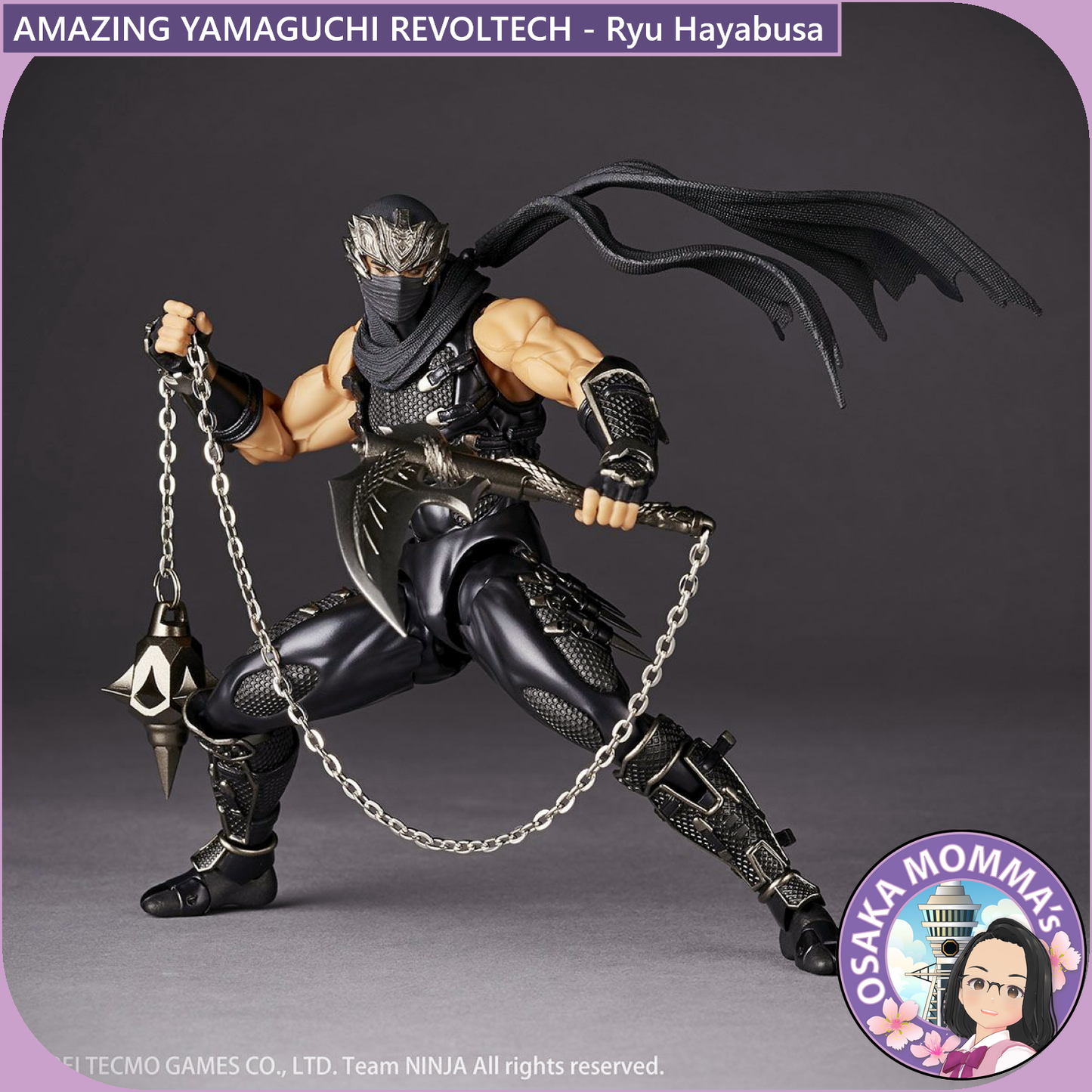 Amazing Yamaguchi Revoltech - Ryu Hayabusa【Jan.2025】