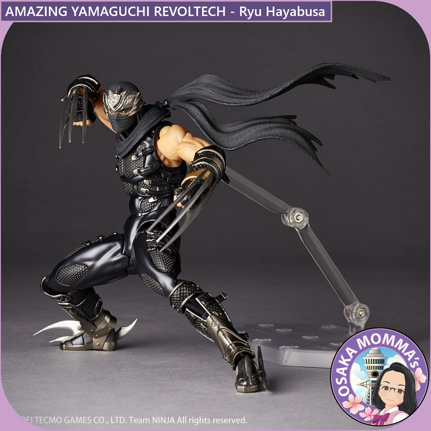 Amazing Yamaguchi Revoltech - Ryu Hayabusa【Jan.2025】