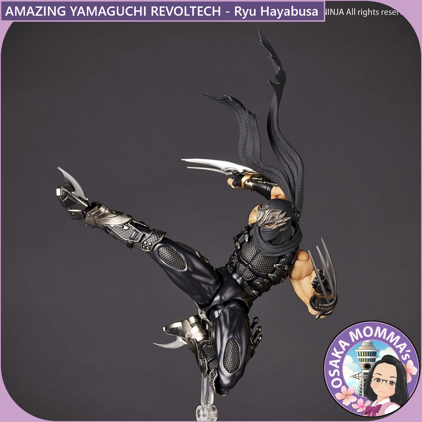 Amazing Yamaguchi Revoltech - Ryu Hayabusa【Jan.2025】