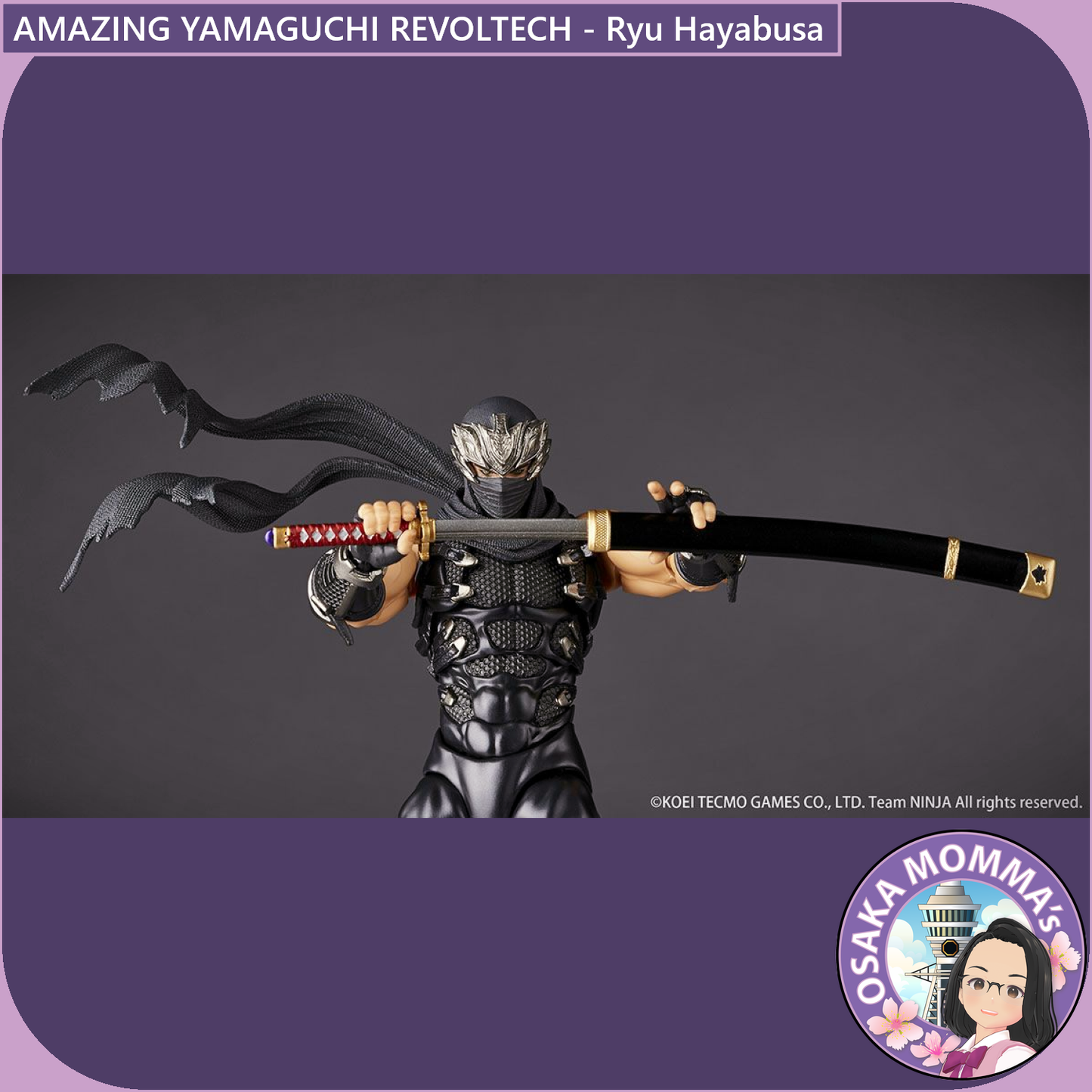 Amazing Yamaguchi Revoltech - Ryu Hayabusa【Jan.2025】