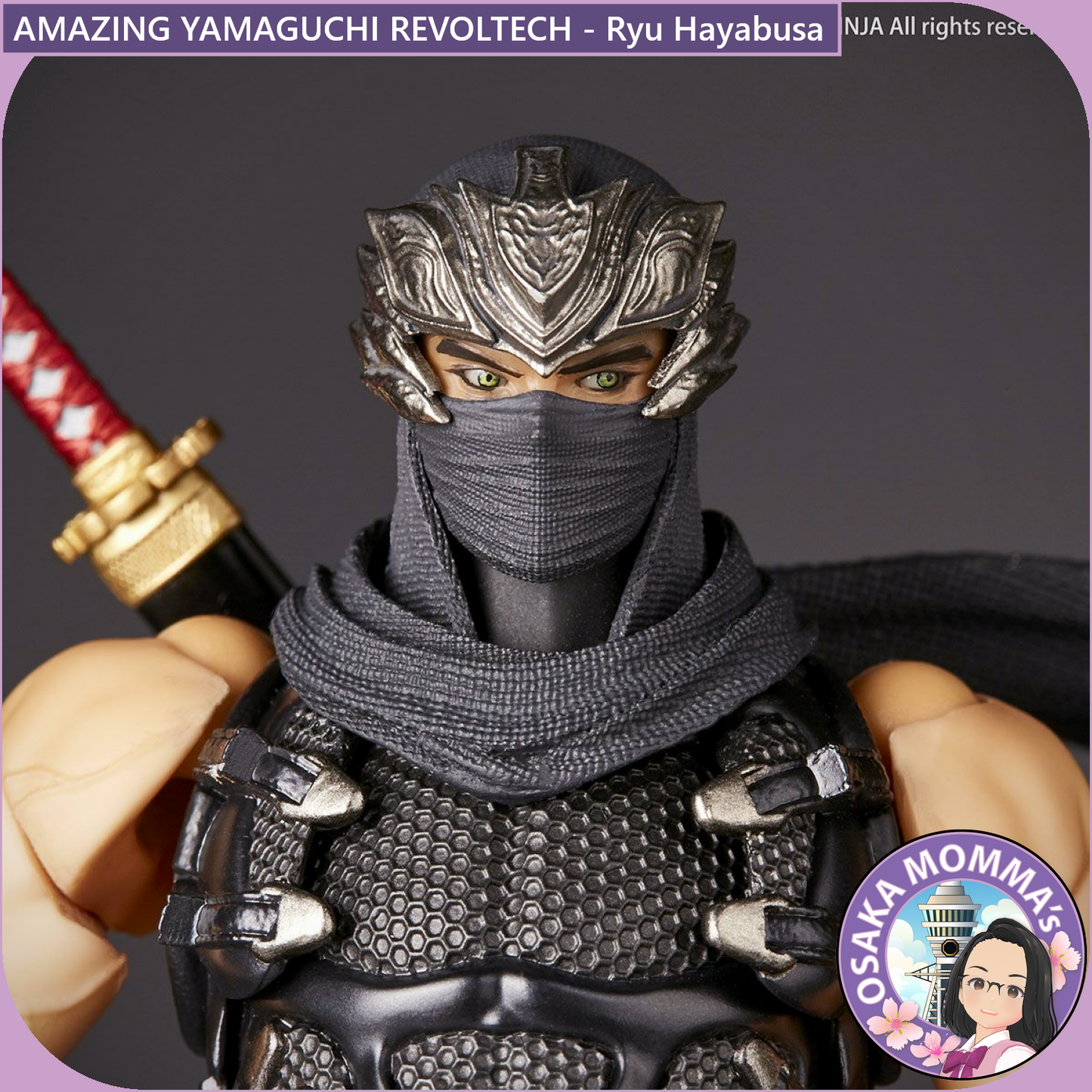 Amazing Yamaguchi Revoltech - Ryu Hayabusa【Jan.2025】