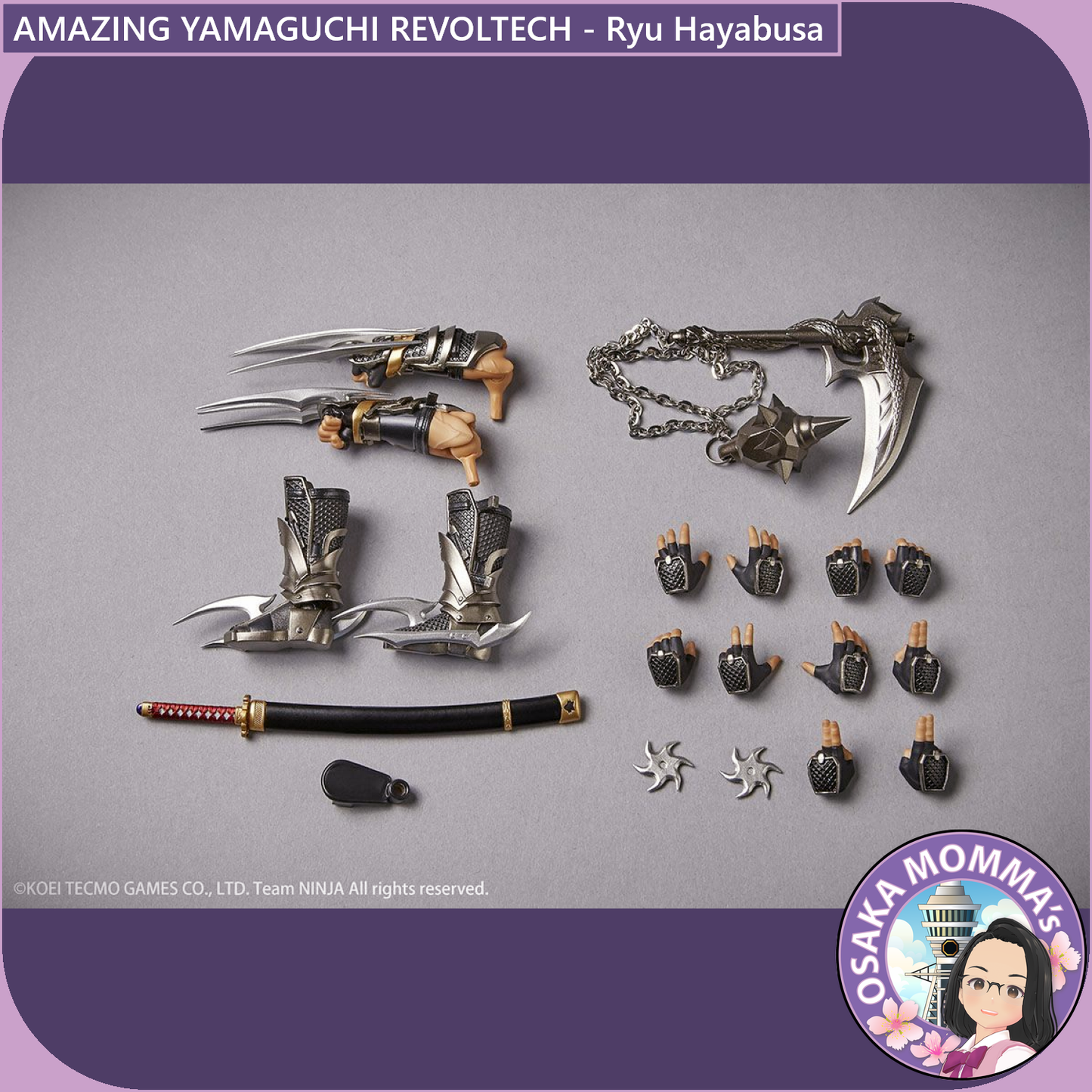 Amazing Yamaguchi Revoltech - Ryu Hayabusa【Jan.2025】