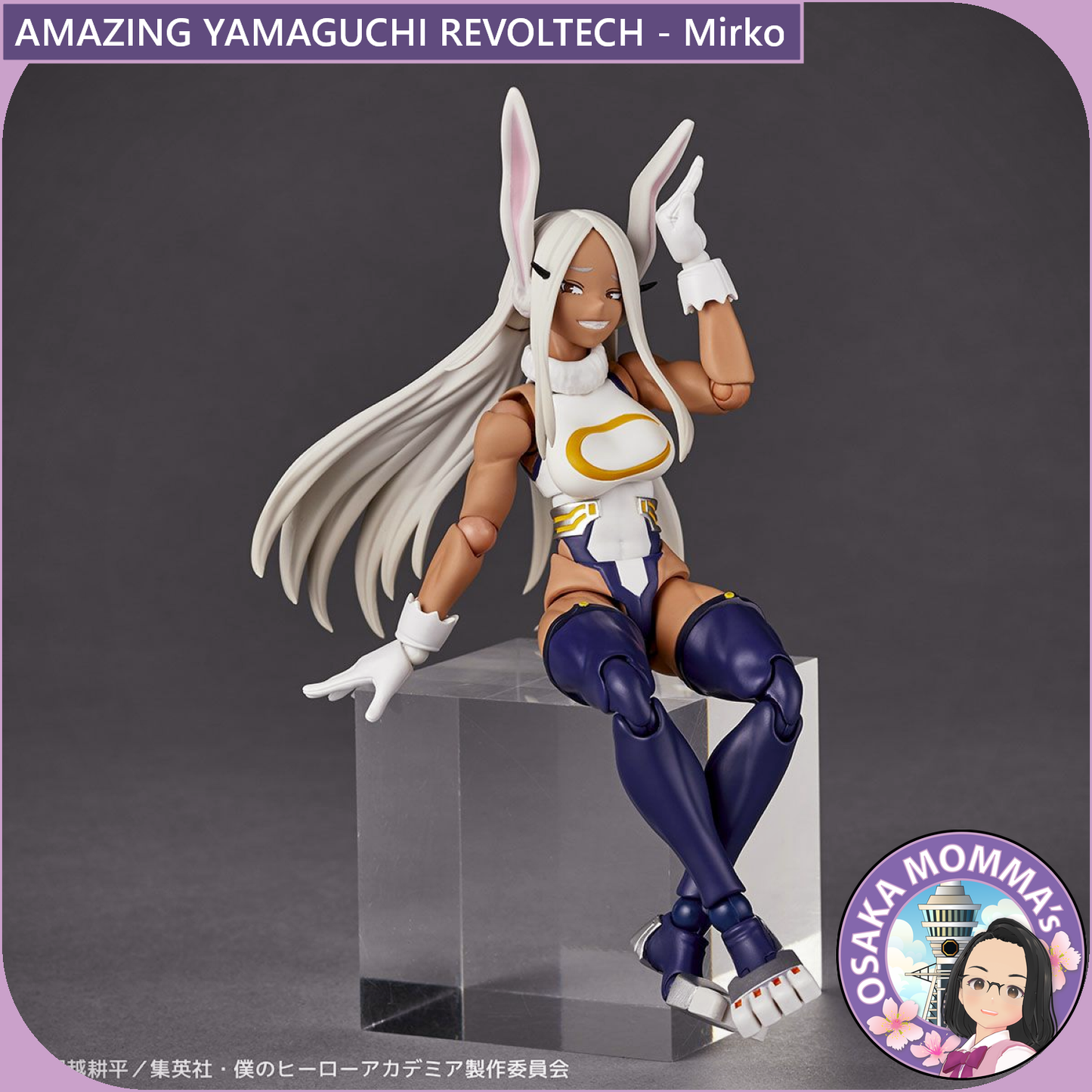 Amazing Yamaguchi Revoltech - Mirko【Feb.2025】