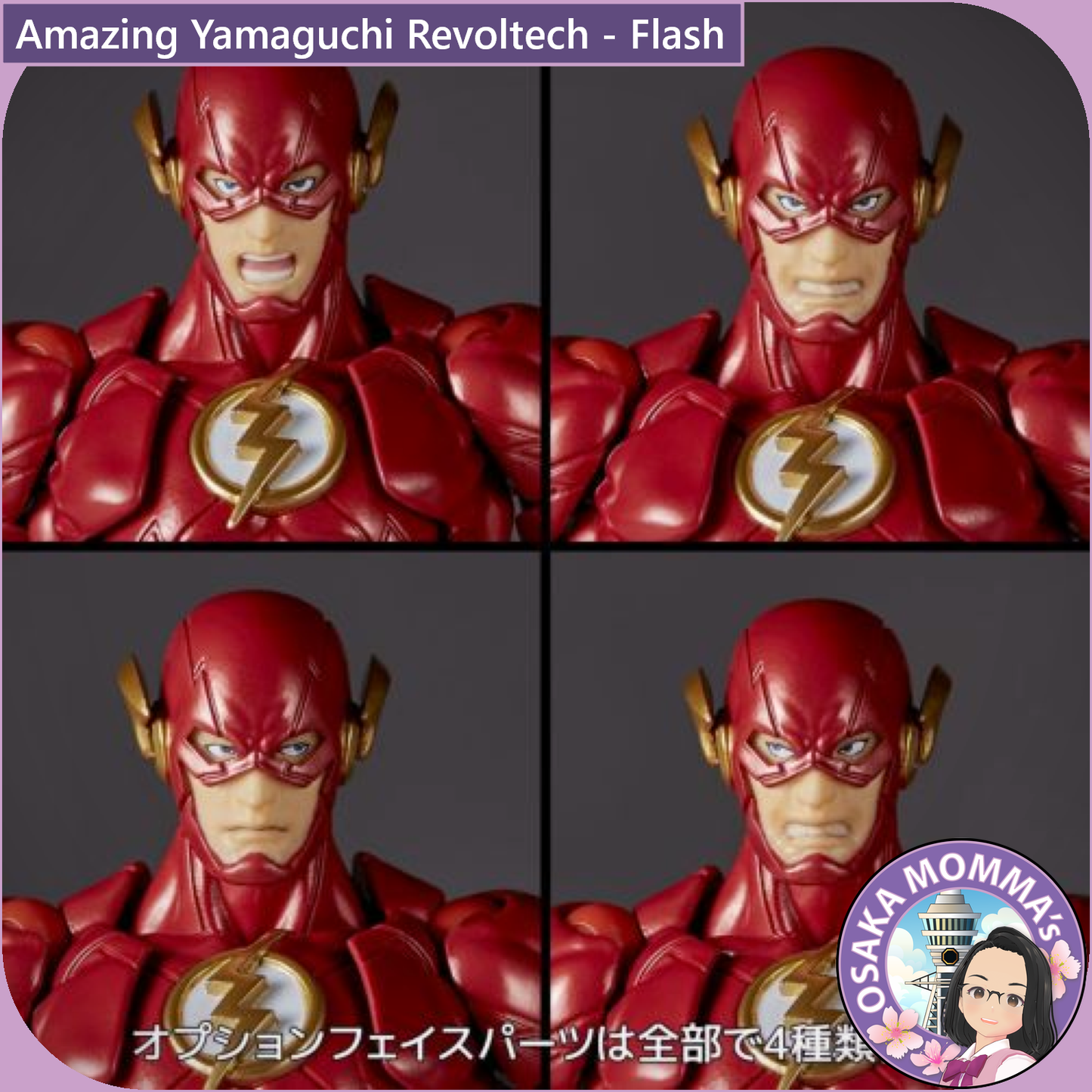 Amazing Yamaguchi Revoltech - Flash【Apr.2025】