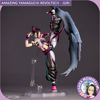 Amazing Yamaguchi Revoltech - JURI【TBD】