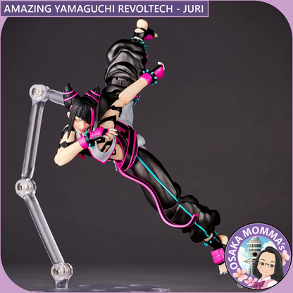 Amazing Yamaguchi Revoltech - JURI【TBD】