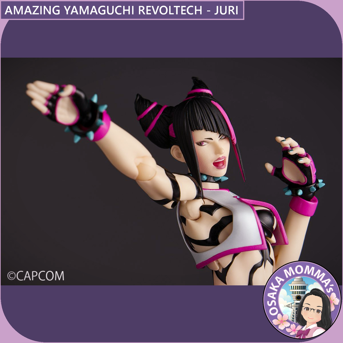Amazing Yamaguchi Revoltech - JURI【TBD】