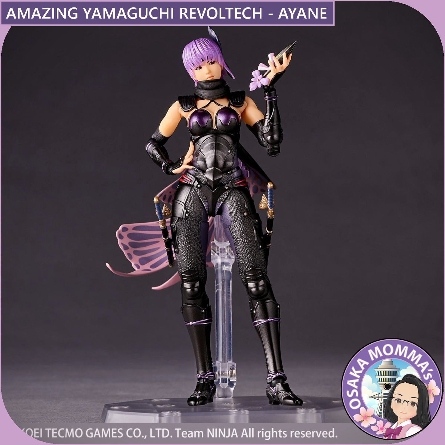 Amazing Yamaguchi Revoltech - AYANE【Sep.2025】