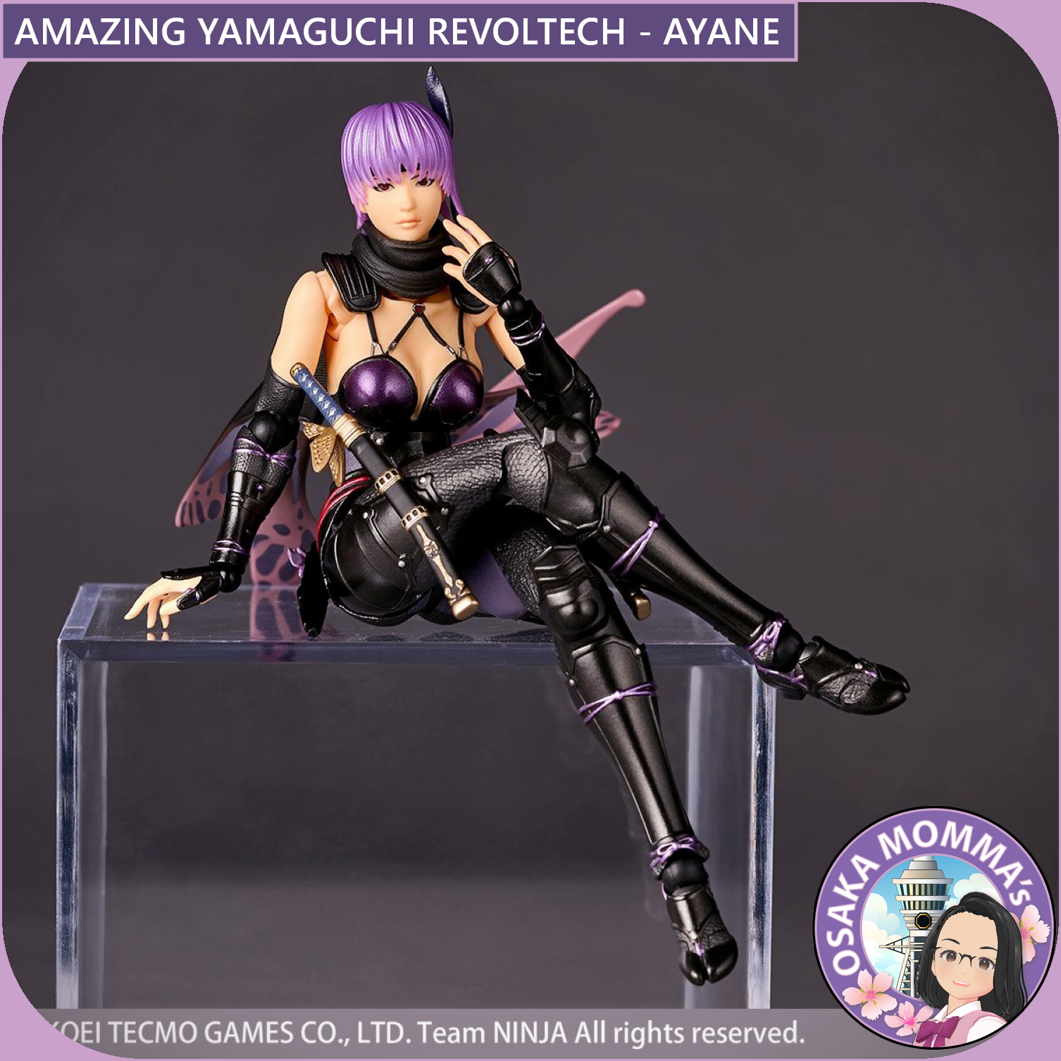 Amazing Yamaguchi Revoltech - AYANE – Osaka Momma's Japanese Goods