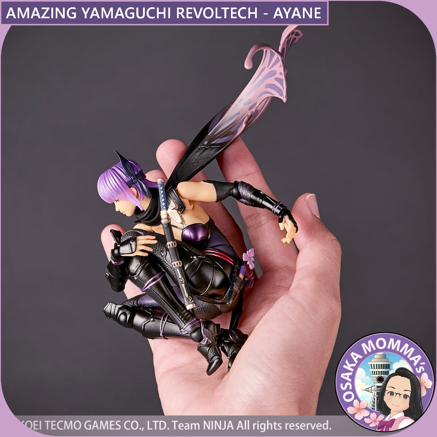 Amazing Yamaguchi Revoltech - AYANE【Sep.2025】