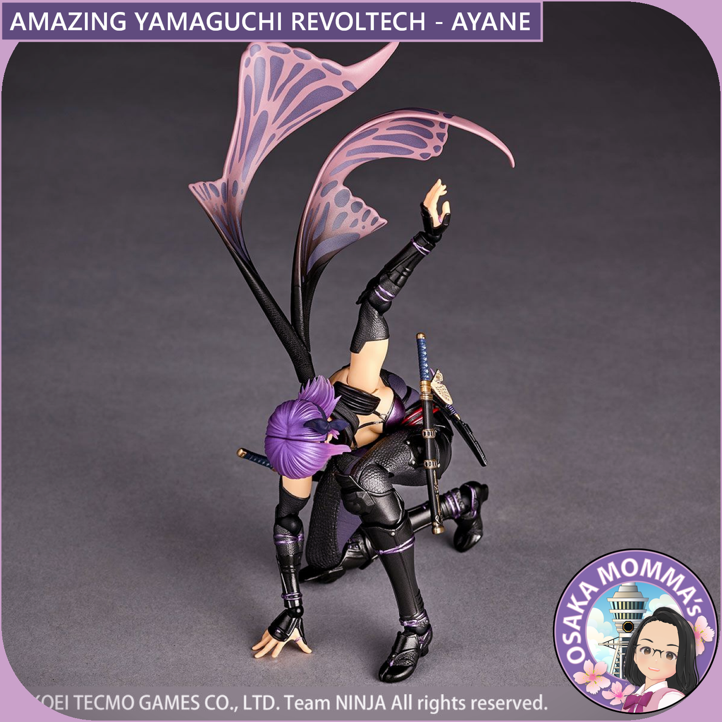 Amazing Yamaguchi Revoltech - AYANE【Sep.2025】