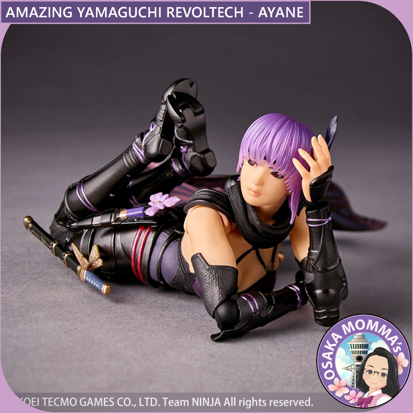 Amazing Yamaguchi Revoltech - AYANE【Sep.2025】