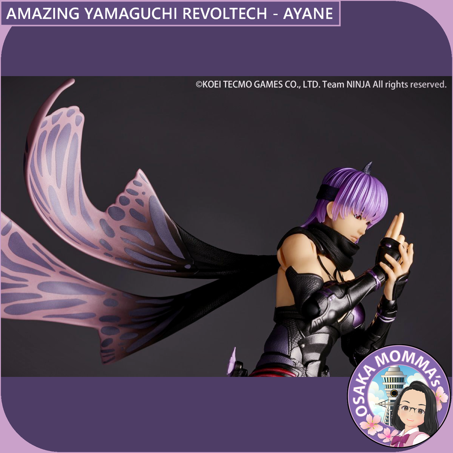 Amazing Yamaguchi Revoltech - AYANE【Sep.2025】