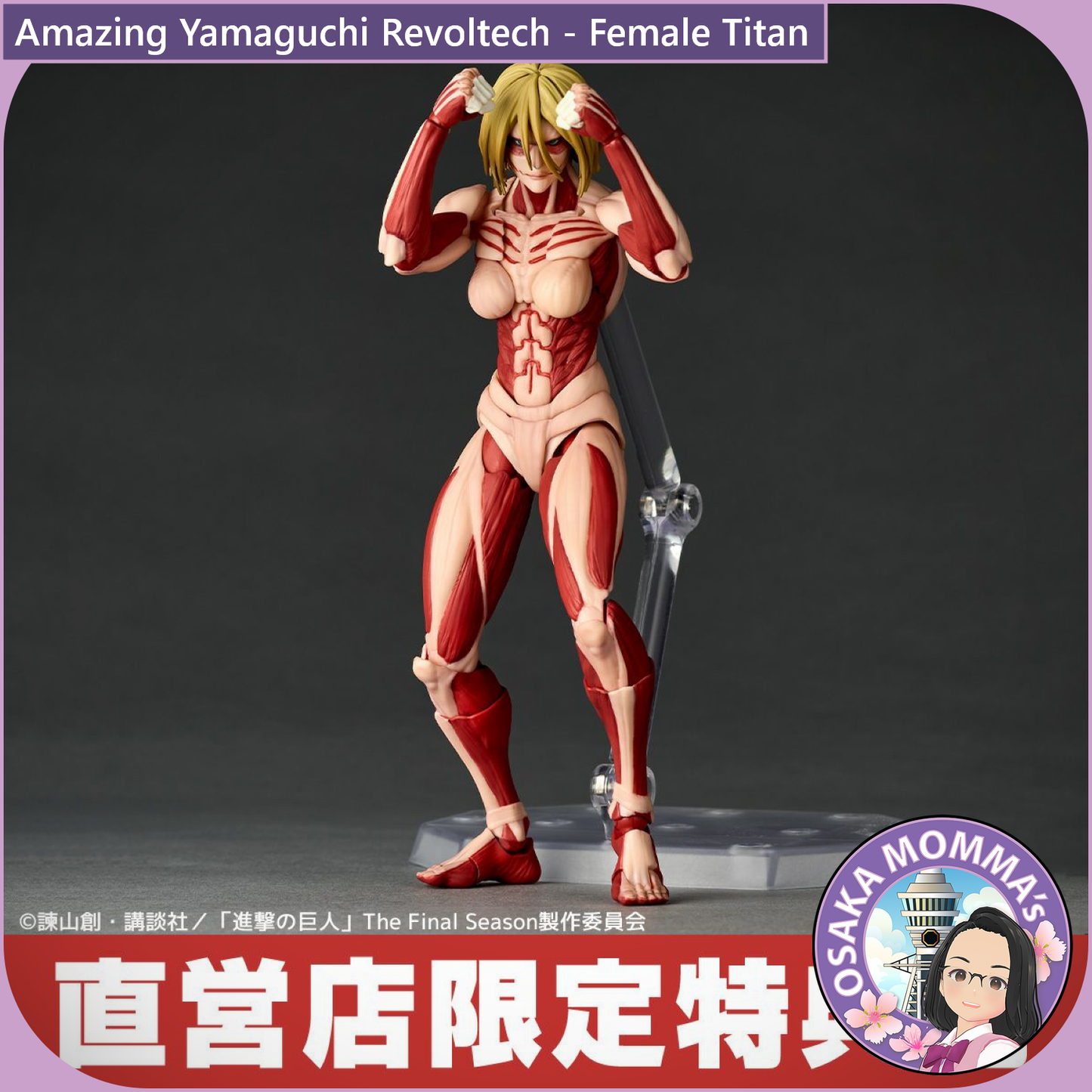 Amazing Yamaguchi Revoltech - Female Titan【Jul.2025】