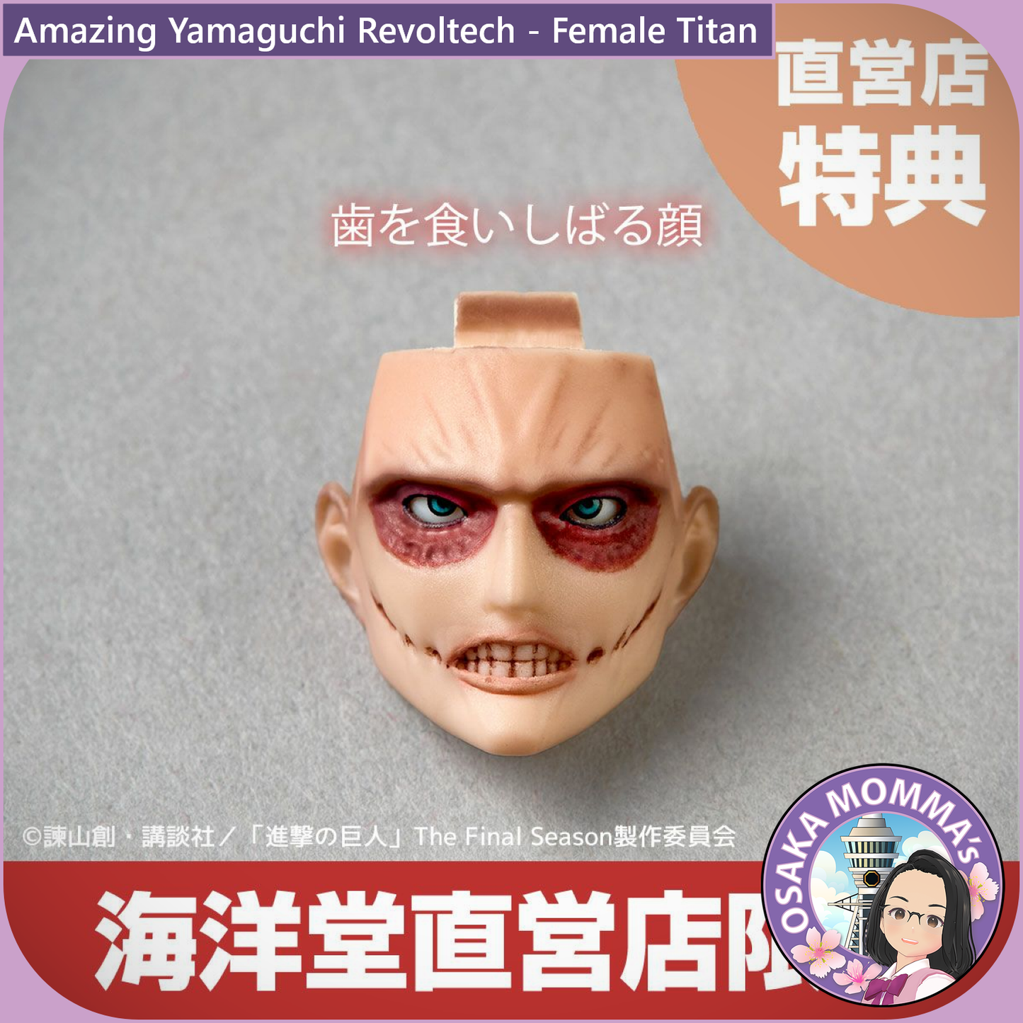 Amazing Yamaguchi Revoltech - Female Titan【Jul.2025】