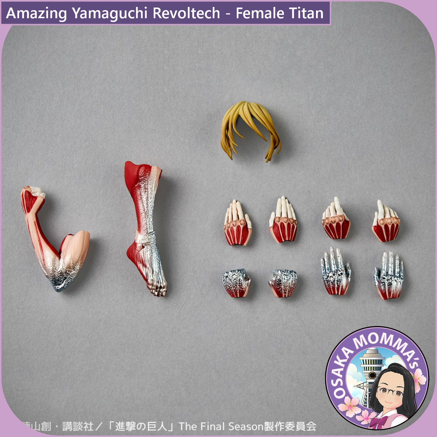 Amazing Yamaguchi Revoltech - Female Titan【Jul.2025】