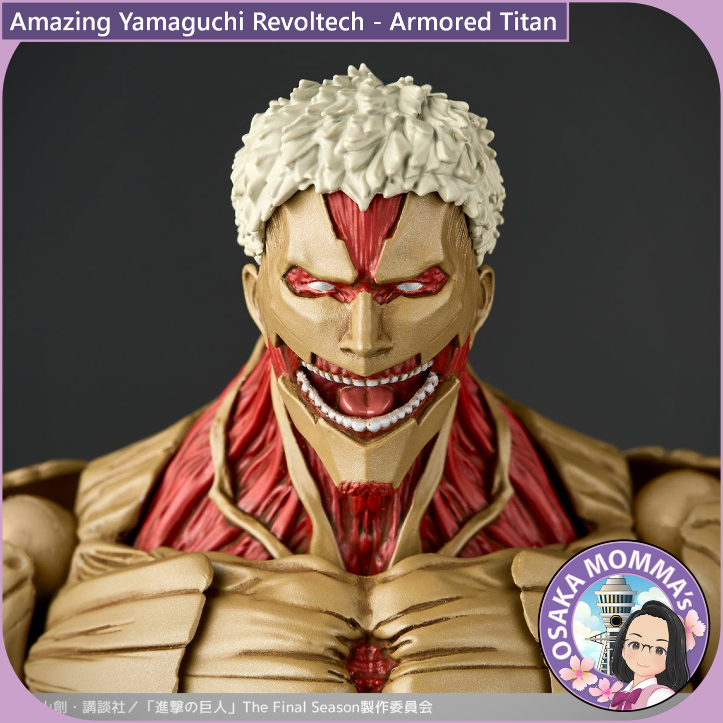 Amazing Yamaguchi Revoltech - Armored Titan【Jul.2025】