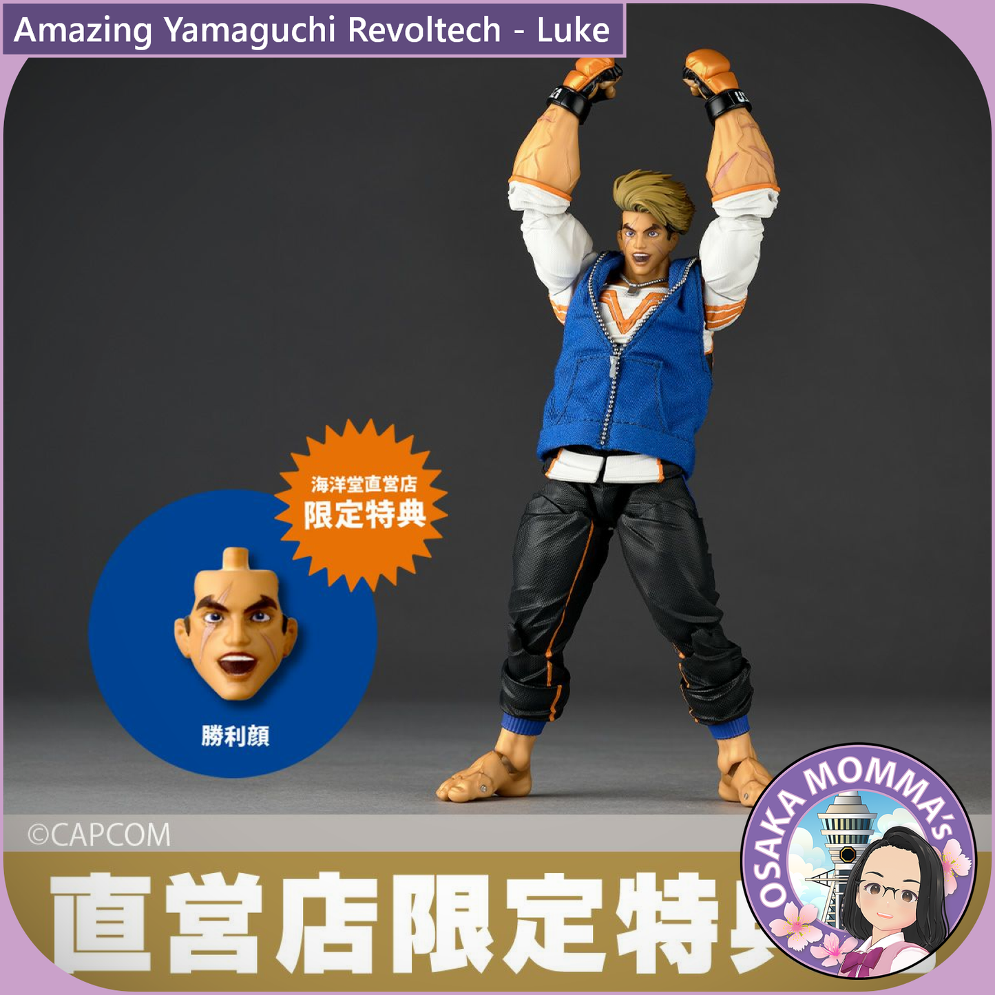 Amazing Yamaguchi Revoltech - Luke【Sep.2025】