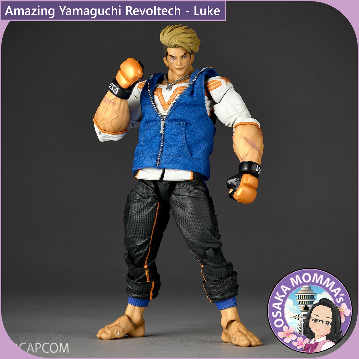 Amazing Yamaguchi Revoltech - Luke【Sep.2025】