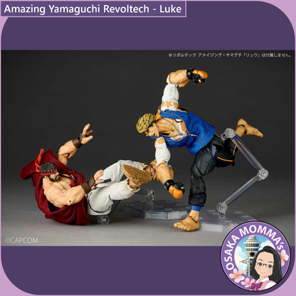 Amazing Yamaguchi Revoltech - Luke【Sep.2025】