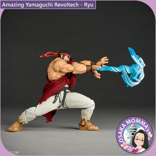 Amazing Yamaguchi Revoltech - Ryu【Oct.2025】