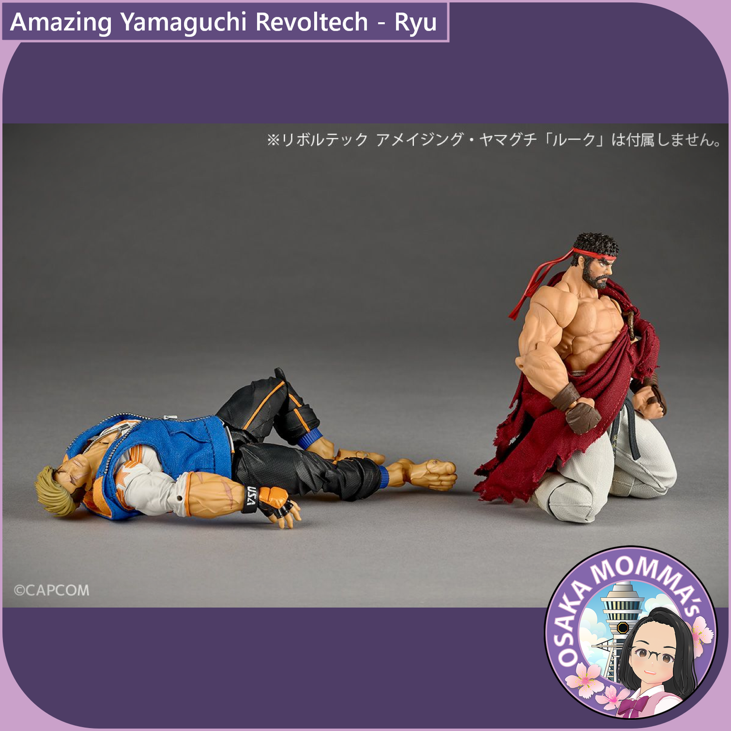 Amazing Yamaguchi Revoltech - Ryu【Oct.2025】