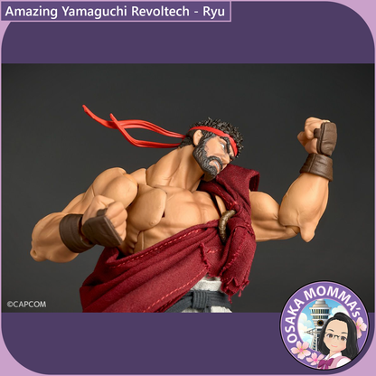 Amazing Yamaguchi Revoltech - Ryu【Oct.2025】