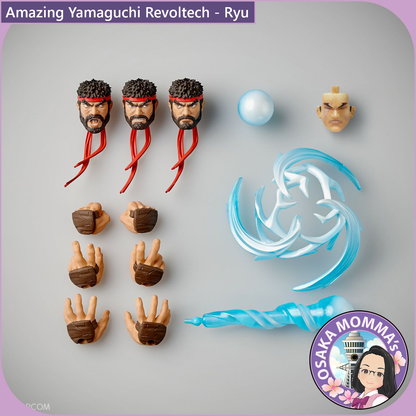 Amazing Yamaguchi Revoltech - Ryu【Oct.2025】