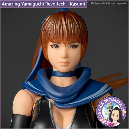 Amazing Yamaguchi Revoltech - Kasumi【Jan.2026】