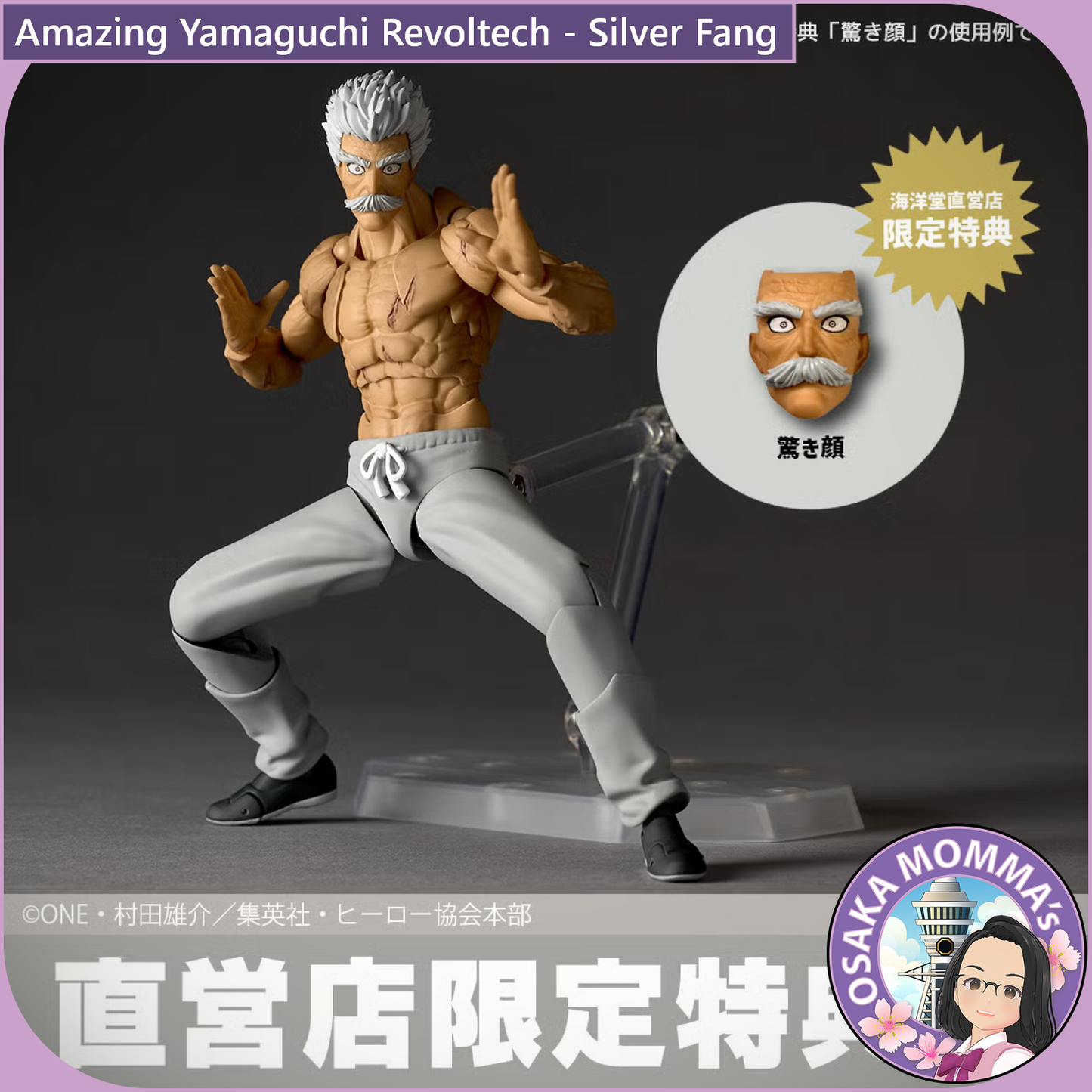 Amazing Yamaguchi Revoltech - Silver Fang【Nov,2026】