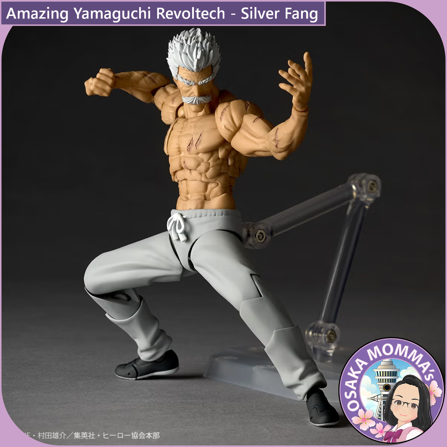 Amazing Yamaguchi Revoltech - Silver Fang【Nov,2026】