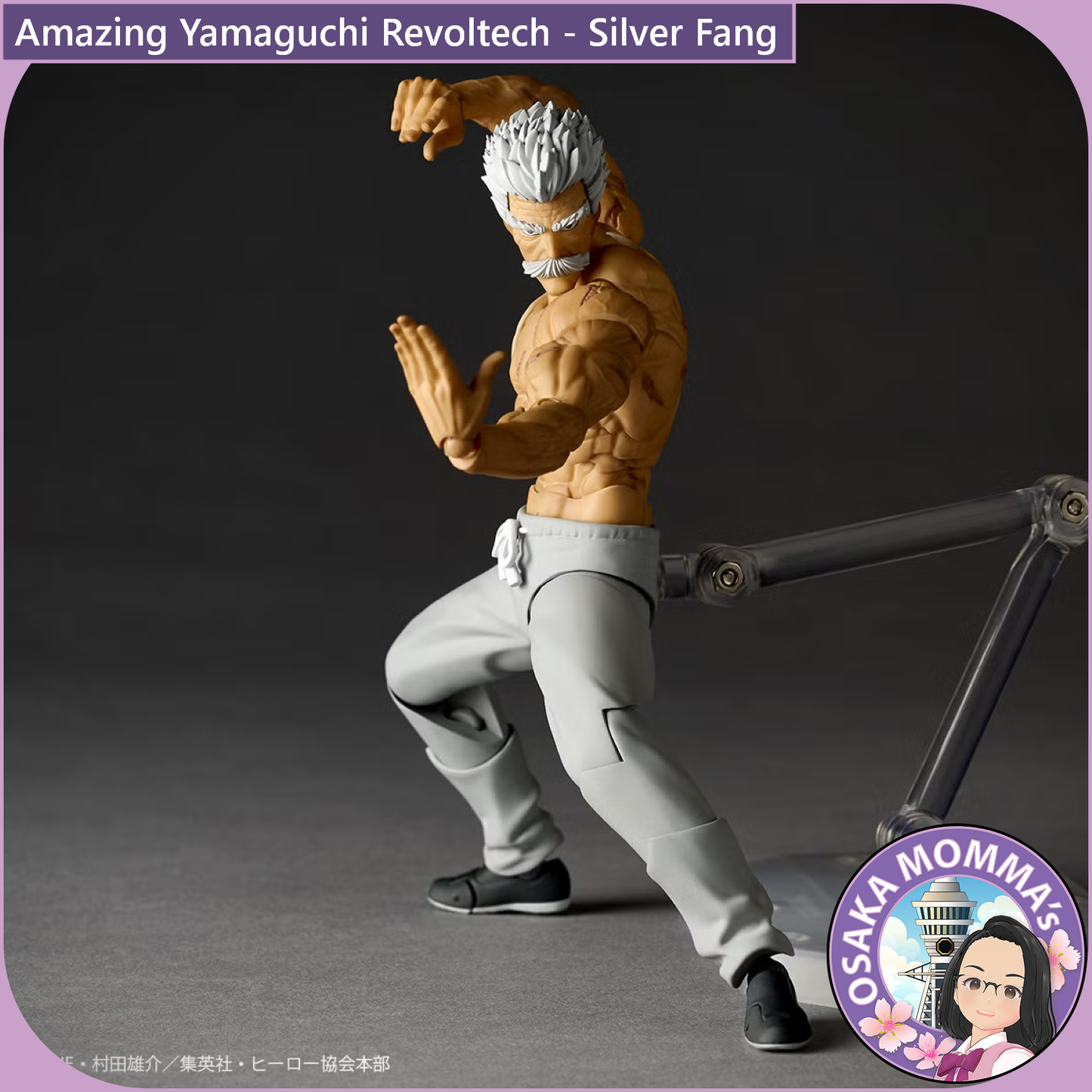 Amazing Yamaguchi Revoltech - Silver Fang【Nov,2026】