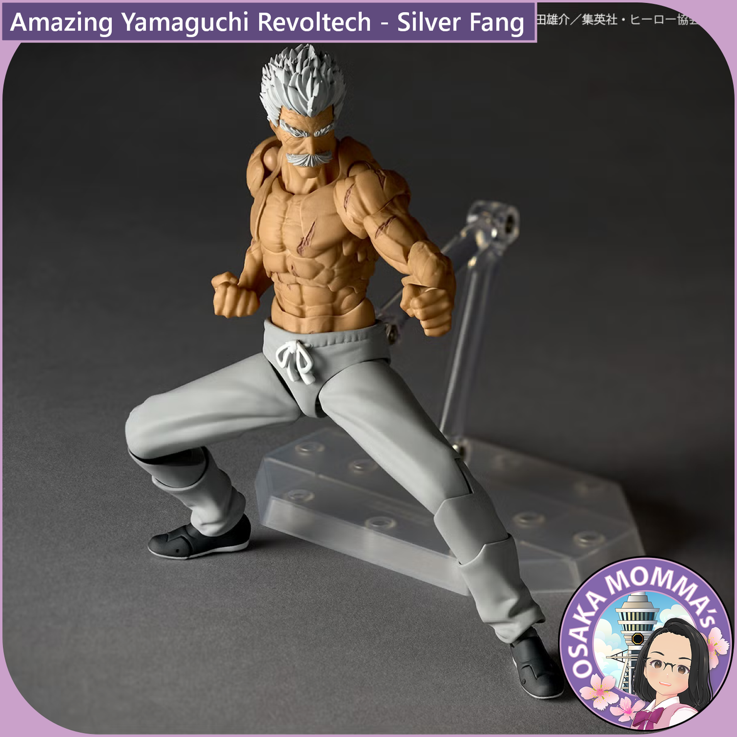 Amazing Yamaguchi Revoltech - Silver Fang【Nov,2026】